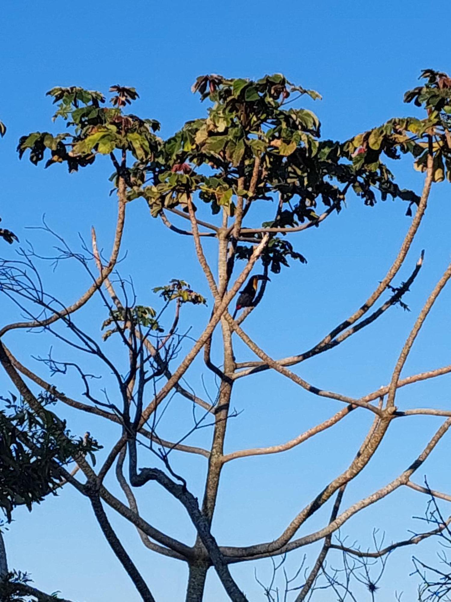 Chale Com Hidromassagem Otel Florianópolis Dış mekan fotoğraf